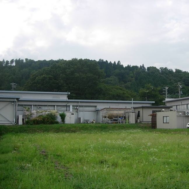 bunashimeji002