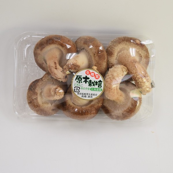 原木しいたけ（Mushroom logs） | きのこの卸・スープ＆惣菜の業務用仕入れなら〜バイオコスモ通販サイト
