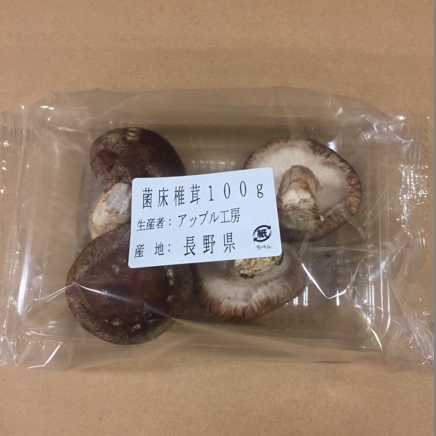 菌床椎茸 100g   【長野】