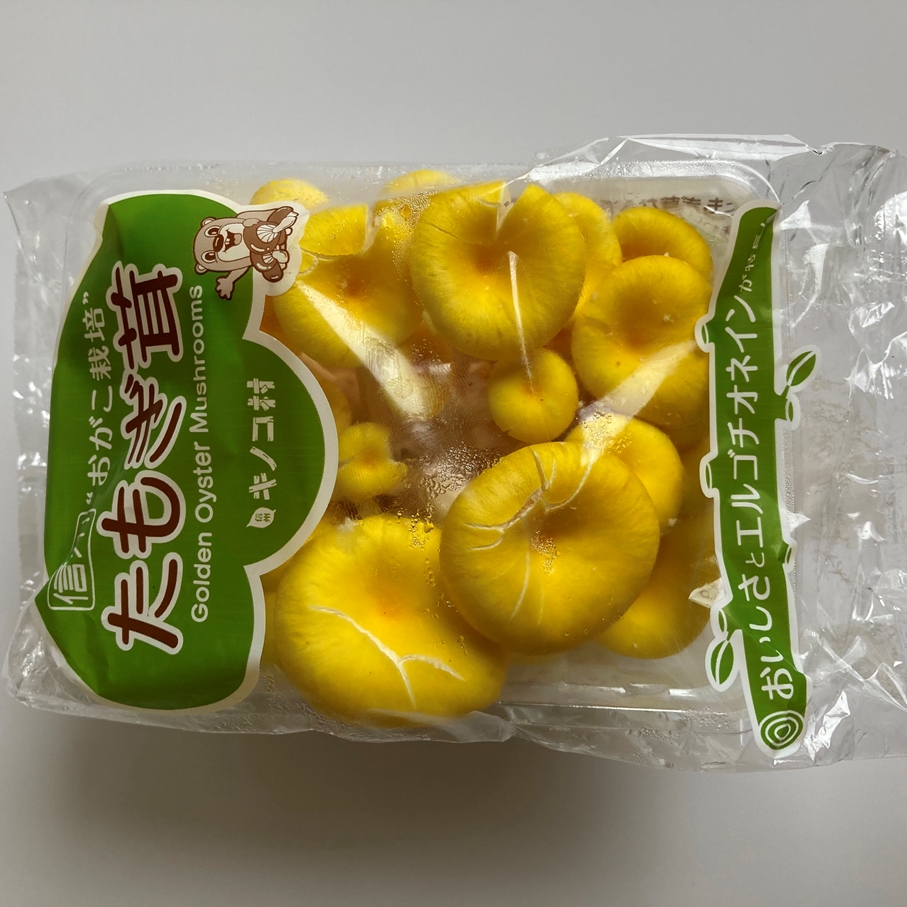 黄色いきのこタモギ茸 有効成分も豊富です きのこの卸 スープ 惣菜の業務用仕入れなら バイオコスモ通販サイト