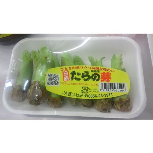 タラの芽 50g 島根 Ji きのこの卸 スープ 惣菜の業務用仕入れなら バイオコスモ通販サイト タラの芽 50g 島根 Ji きのこの卸 スープ 惣菜の業務用仕入れなら バイオコスモ通販サイト