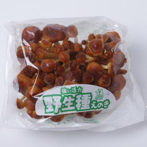 野生種えのき 150g   【長野】 km